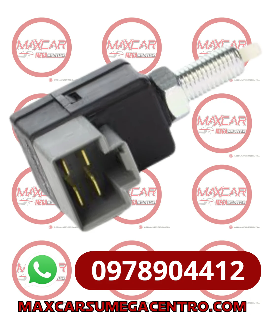 Miniatura 1